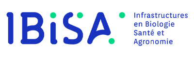 logo Ibisa